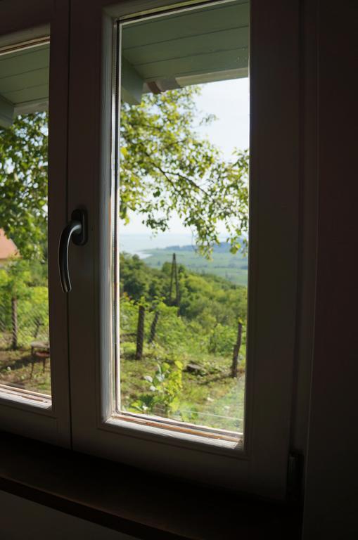 Case de vacanță Badacsony Vendeghaz *